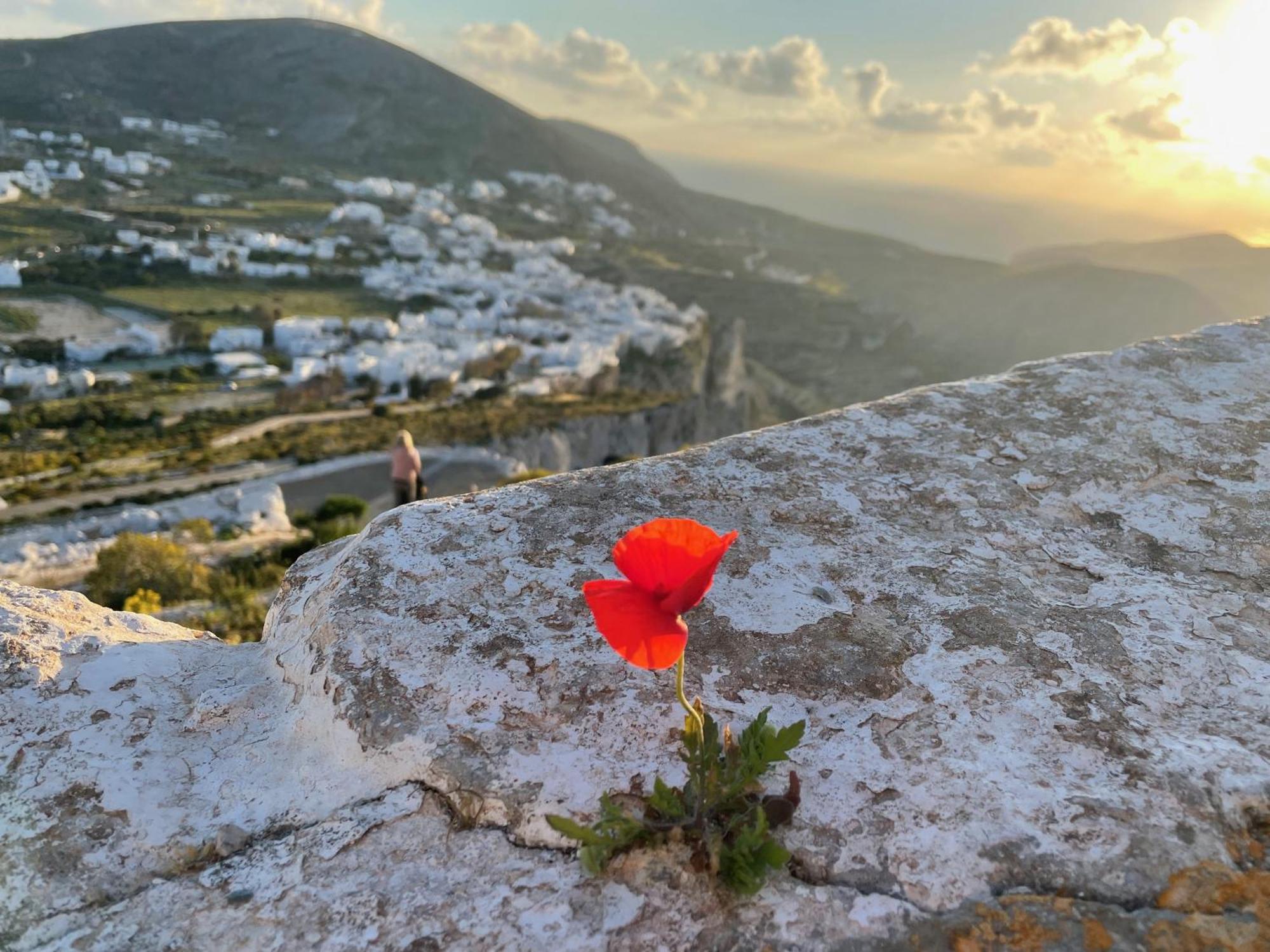 Folegandros-Cliffhouse Villa Eksteriør billede