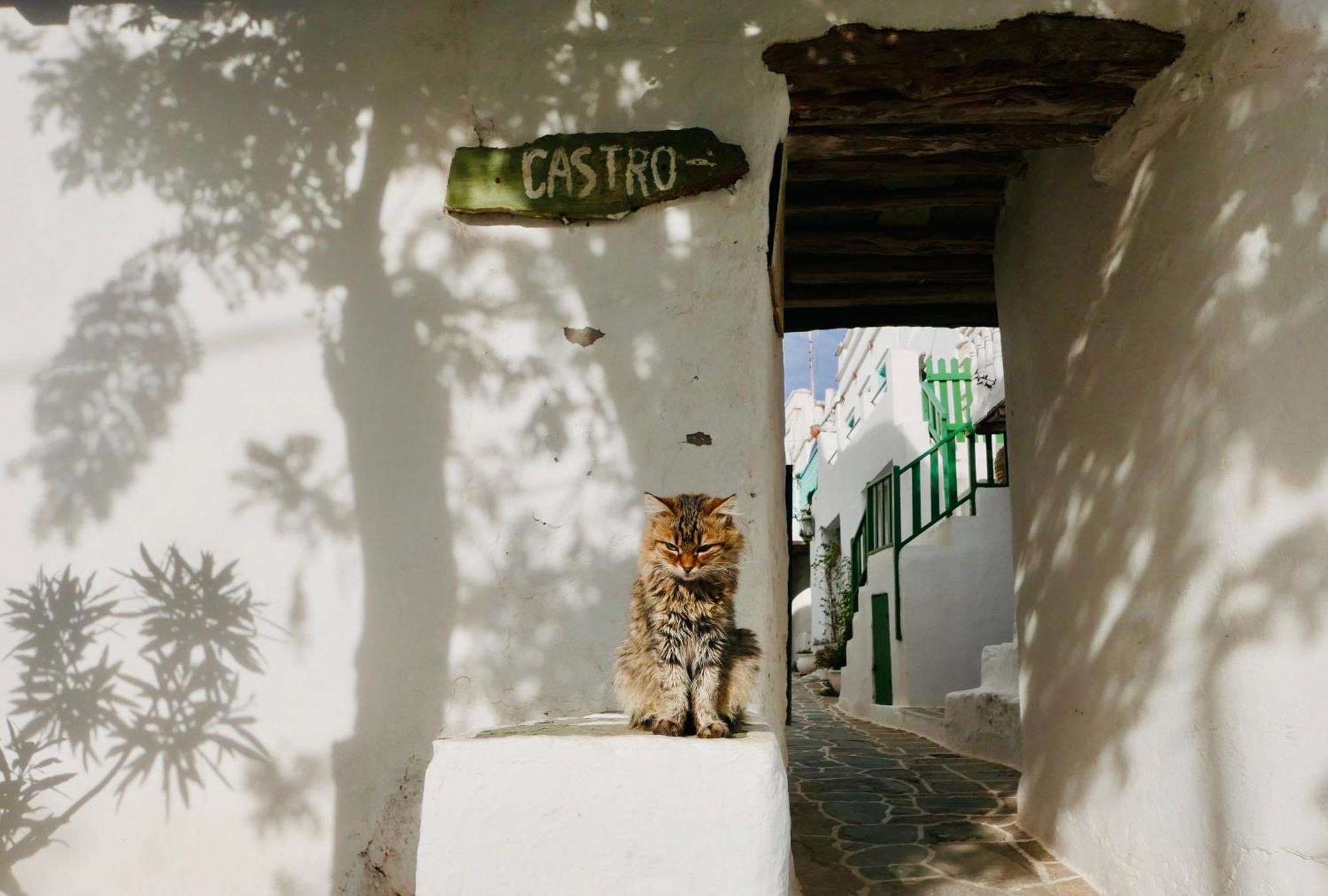 Folegandros-Cliffhouse Villa Eksteriør billede